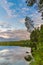 Dramatic summer sunset and pines at Tuloma river, Kola Peninsula, Murmansk region, Russia