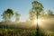 Dramatic Sun Beams in the Foggy Aspen Meadow