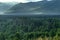 Dramatic sunrise in the mountains with thick evergreen forest in foreground, Altai Mountains, Kazakhstan