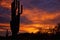 A dramatic sunrise sunset in Sonoran desert Arizona