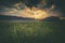 Dramatic Sunset Cloud over Summer Grassland