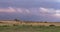 Dramatic Sunset Clouds Over  Farming Fields in Anglesey