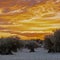 Dramatic sunset over an agricultural landscape of olive trees in Madrid. The cloudscape is creating a magic and impressive sky ful