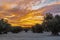 Dramatic sunset over an agricultural landscape of olive trees in Madrid. The cloudscape is creating a magic and impressive sky ful