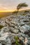 Dramatic Sunset Over Limestone Pavements Of Twistleton Scar In North Yorkshire, UK.