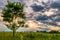 Dramatic sunset sky over the flowered Bogolyubovo meadow, Vladimir region, Russia. Picturesque peaceful corner of nature away from