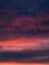 Dramatic sunset with a twilight dark blue color of the sky and clouds. Nature is an abstract composition