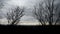 Dramatic time lapse of the clouds and trees