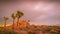 Dramatic time-lapse over Joshua Trees with stormy pink clouds