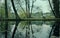 Dramatic trees reflections on lake on a cloudy day,Woodland waters,Grantham UK