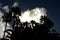 Dramatic tropical night sky with silhouette of palms against a dark sky with stormy clouds