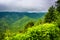 Dramatic view of the Appalachian Mountains from Newfound Gap Road, at Great Smoky Mountains National Park, Tennessee.