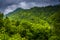 Dramatic view of the Appalachian Mountains from Newfound Gap Road, at Great Smoky Mountains National Park, Tennessee.