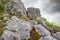 Dramatic view of glacial rocks seen atop Malham Cove in the heart of the Yorkshire Dales.