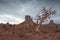 Dramatic View of Monument Valley