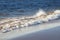 Dramatic wave crashing on the shoreline, with wind blown spray. Water splashing background. Wave crashing on the beach