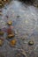 Dramatic White Lines in Ice in Pond with Leaf and Pebbles