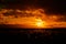 A dramatic wide view over marshland with highlighted reeds and a golden sunset