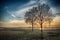 Dramatically colored rural landscape with two leafless trees silhouetted against the bright sun