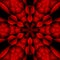 dramatically repeating floral fantasy hexagonal design in shades of red and scarlet on black