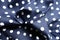 Draped dark blue and white cotton with polka dot pattern