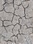 Draught affected land with cracks