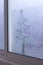 Draw a christmas tree on a foggy window