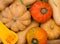 Drawer with variety of colorful fresh squashes