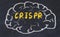 Drawind of human brain on chalkboard with inscription CRISPR