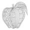 Drawing apple for adult coloring book, coloring page,engraving, tattoo, t shirt design and so on. Vector illustration