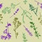 Drawing background seamless pattern of field grasses hand-drawn graphics illustration