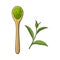 Drawing of bamboo, wooden spoon with matcha green tea powder