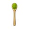 Drawing of bamboo, wooden spoon with matcha green tea powder