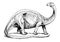 Drawing of brontosaurus with a white background