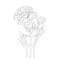 drawing carnation flower tattoo outline, line drawing simple carnation tattoo, January line drawing simple carnation tattoo,