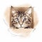 a drawing of a cat peeking out of a box with its eyes wide open and looking at the camera with a sad look on its face