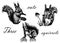 Drawing collection set of isolates, three fluffy little cute squirrels, sketch, hand-drawn illustration