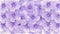 Drawing color of purple flower background