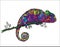 Drawing of a colorful chameleon