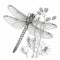 Drawing for coloring, large dragonfly on a flower close-up, black and white