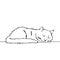 Drawing of a cute sleeping cat, resting its head on its paw. Black and white illustration of an animal. Realistic image