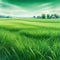 drawing Field of lush grass on gentle and Grassy grassland in rural