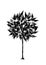Drawing foliar tree on a white background. black silhouette on a white background.