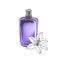 drawing glass perfume botte and white lily flower