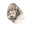 Drawing head of Bodhisattva