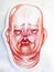 A drawing of the head of a thick pink Chinese gentleman with thick cheeks and folds on the neck and face