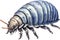 Drawing of an isopod in a minimalist style. AI-generated.