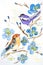 The drawing is made with watercolor paints. Birds and flowers are painted on paper
