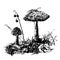 Drawing mushroom fly agaric, sketch graphics hand drawn ink illustration