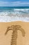 Drawing of palm tree on sandy beach